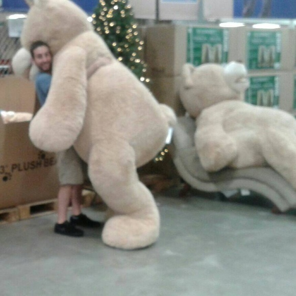 ECLECTIC WARES - Picture 5 of 8